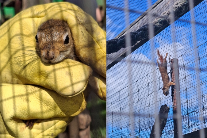 Klaipėdos zoologijos sodas
