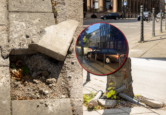 Pačiame Kauno centre – kelių erelio skrydis