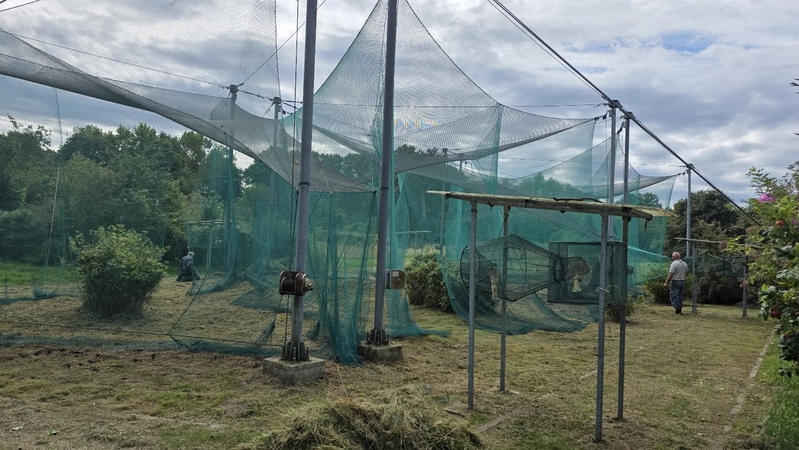 Ruošiasi: Ventės ornitologinėje stotyje keliamos paukščių gaudyklės, kurios skirtos jau rudeninei paukščių migracijai.