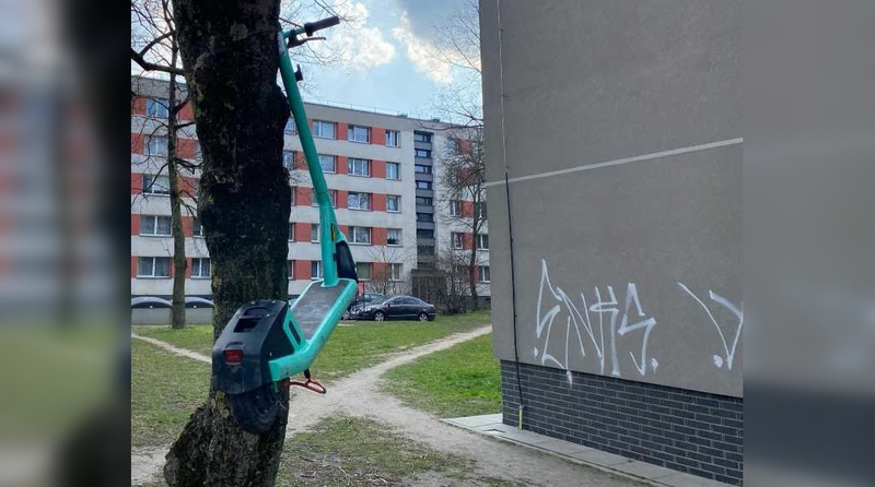 Netvarka: nors yra įrengtos specialios zonos paspirtukams palikti, jie vis tiek neretai būna išmėtyti bet kur, atsiduria net ir medyje.