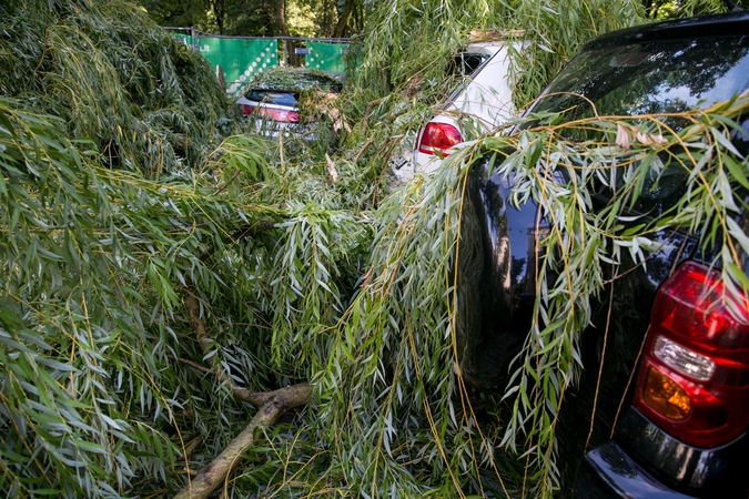 Stiprus vėjas jau pridarė žalos: ant automobilių virsta medžiai, statybinės tvoros