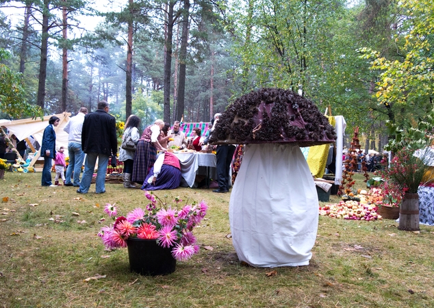 Varėnoje rengiama tradicinė Grybų šventė