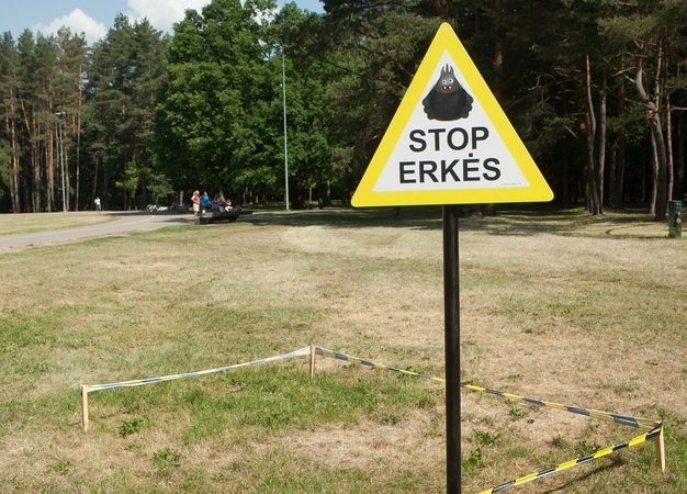 Žiauri statistika: sergamumas erkiniu encefalitu Lietuvoje – vienas didžiausių Europoje