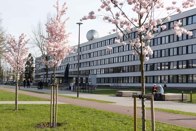 Atsinaujina: Studentų miestelyje neseniai pasodinta sakurų, o dabar sutvarkyta ir aplinka.