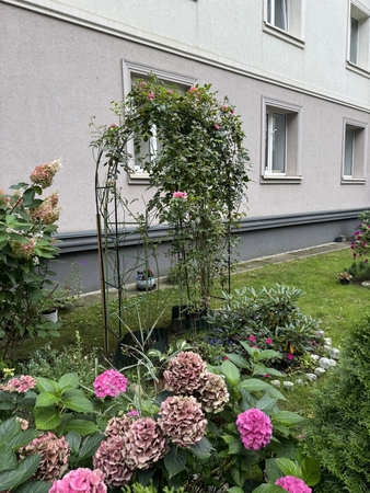 Arka: į namą atsikrausčiusi naujakurių pora tęsė iniciatyvą ir įrengė rožių arką.