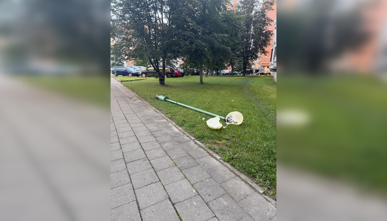 Pasvarstymai: klaipėdiečiai ginčijosi, dėl ko nugriuvo stulpas.