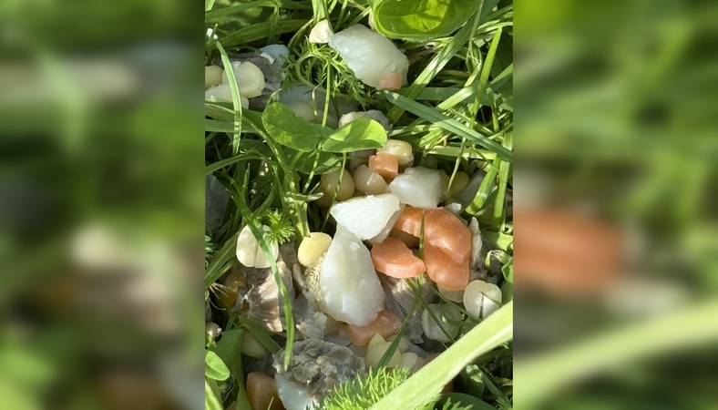Nustebino: įtarimų sukėlė net trijose vietose išmėtytas identiškas ir keistai atrodantis maistas.