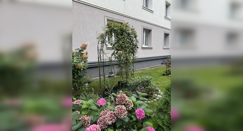 Arka: į namą atsikrausčiusi naujakurių pora tęsė iniciatyvą ir įrengė rožių arką.