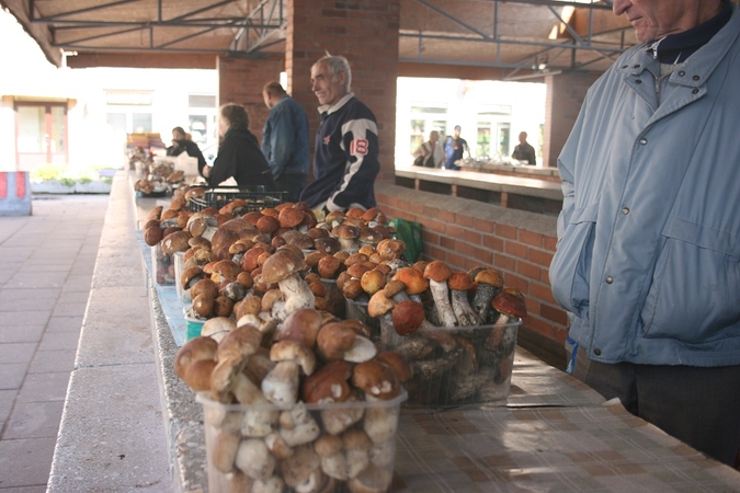 Užsimojo palengvinti su verslo liudijimu dirbančių pensininkų dalią