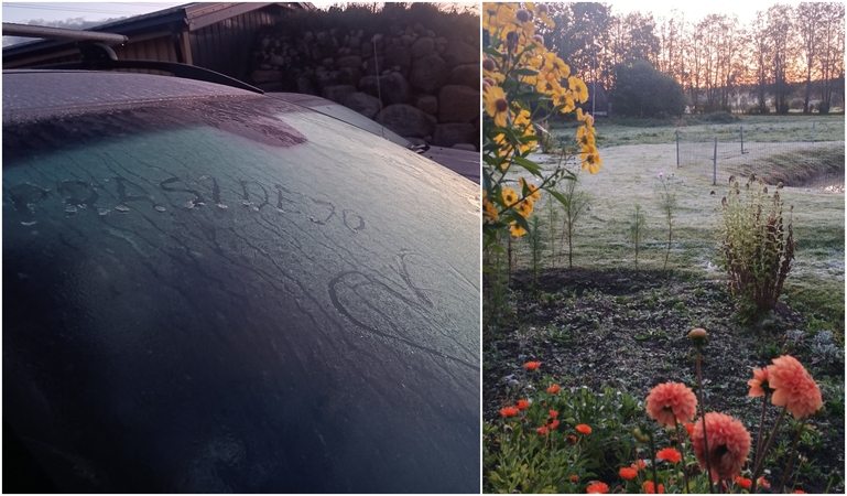 Lietuvoje – ir kruša, ir šalnos