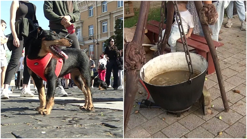 Sostinėje – šunų lojimas ir žvėrienos puota: kai kurie patiekalų ragauti nedrįso