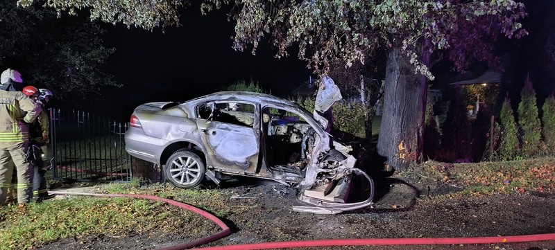 Tragiška nelaimė: užsidegė į medį atsitrenkęs automobilis, vairuotojas žuvo