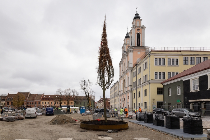 Brandūs: Rotušės aikštėje sodinami apie 20 m. amžiaus medžiai.