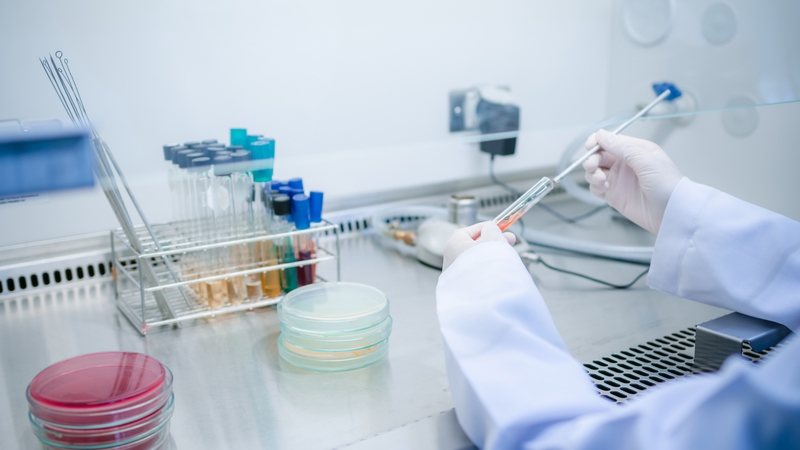 Pavojus: sepsis, dažnai vadinama kraujo užkrėtimu, yra rimta medicininė būklė, atsirandanti, kai bakterijos patenka į kraują ir sukelia sisteminę uždegiminę reakciją.
