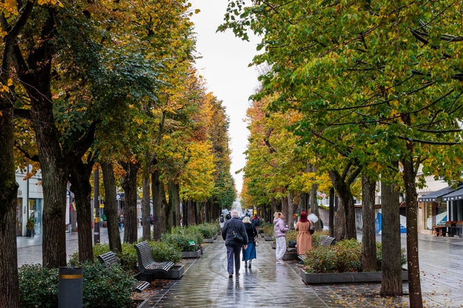 Kauniečių diena (2025-10-10)