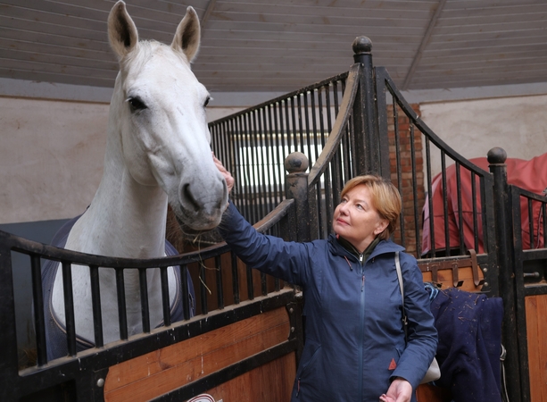 Simpatija: Kauno rajono savivaldybės tarybos narė Violeta Boreikienė neatsispyrė norui paglostyti žirgą.