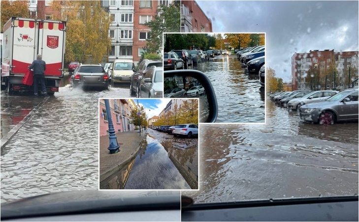 Liūtis Klaipėdoje