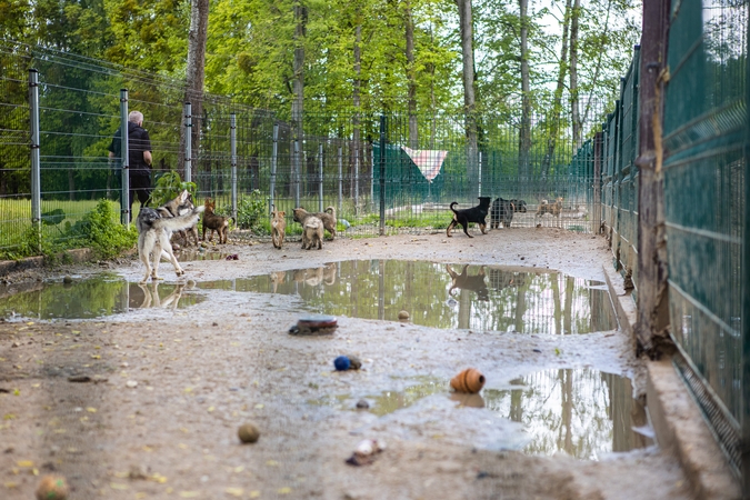 Padėtis: „Penktos kojos“ kaimynystė gyventojams seniai apkartusi.