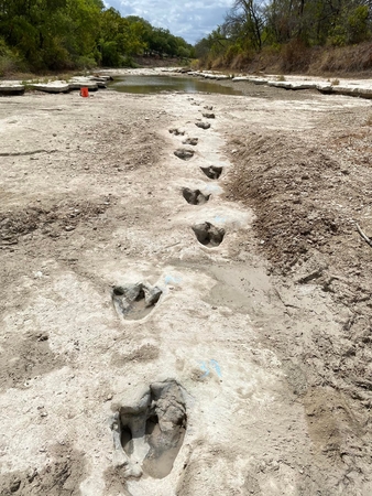 Išskirtinumas: atrastasis dinozaurų pėdsakų takas yra vienas ilgiausių kada nors rastų ištisinių šių priešistorinių gyvių pėdsakų takų.