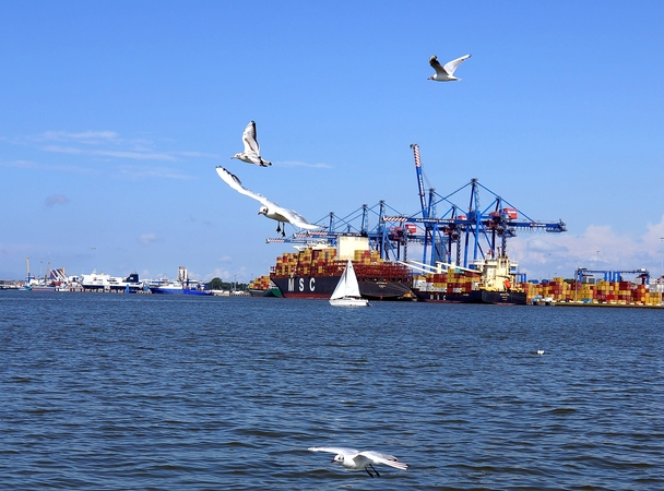 Situacija: Uosto direkcijai paviešinus informaciją apie per pirmus tris šių metų ketvirčius daugiau nei dešimtadaliu augusią krovą, puikių rezultatų euforiją netruko nuslopinti uoste dirbančių krovos įmonių atstovai.