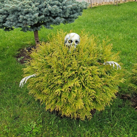 Populiaru: šiurpnakčiams ar Helovinui žmonės skiria nemažai resursų, pastangų ir išmonės.