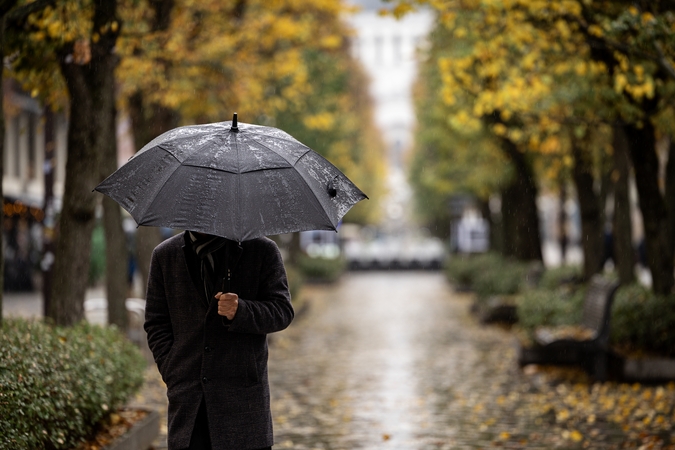 Kauniečių diena (2025-10-17)