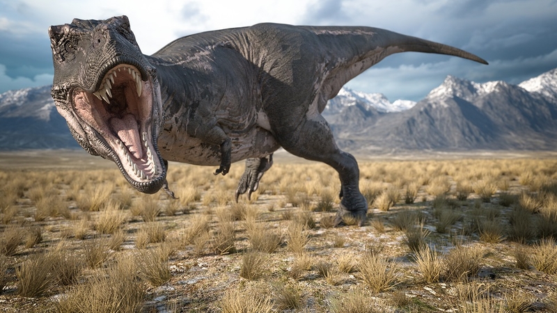 Koks dinozaurų mėsos skonis: mokslininkas pateikė netikėtą atsakymą