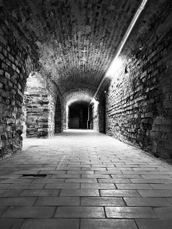 Žodžiai iš tamsos – grįžimas į šviesą I.