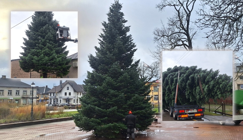 Kretingos Kalėdų eglė 2025 m.