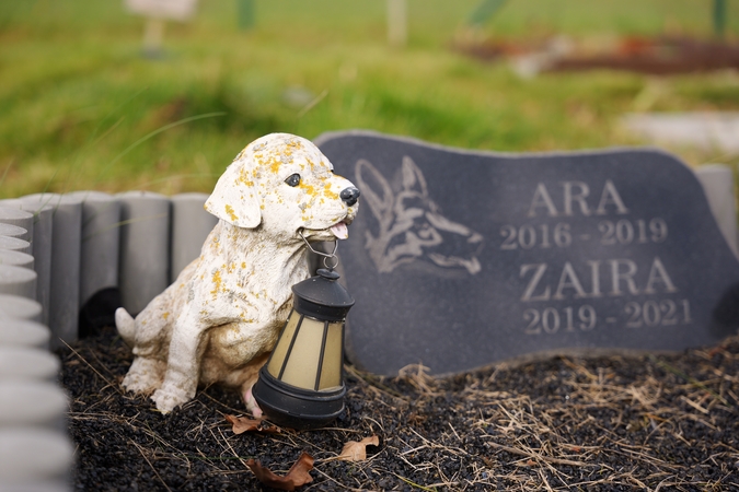 Gyvūnėlių kapinėse - priminimas apie keturkojus šeimos narius