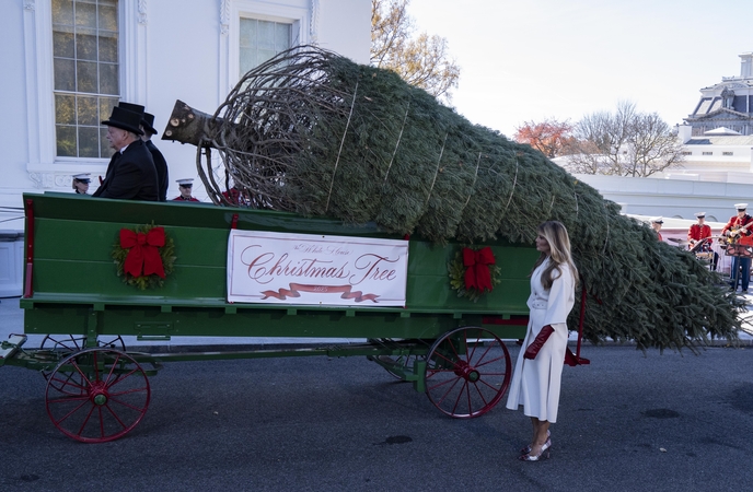 JAV pirmoji ponia priėmė į Baltuosius rūmus atgabentą Kalėdų eglę