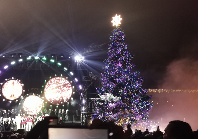 Klaipėdoje įžiebta pagrindinė miesto eglė