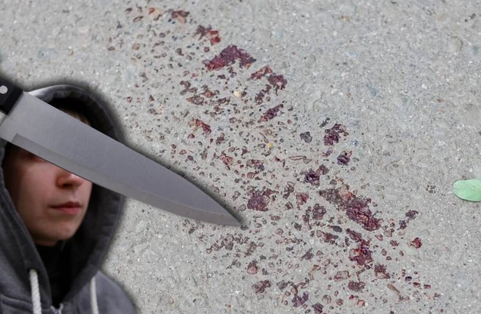 Išpuolis Kauno daugiabučio kieme: paaiškėjo dalis prokuroro nutylėtų iškalbingų aplinkybių