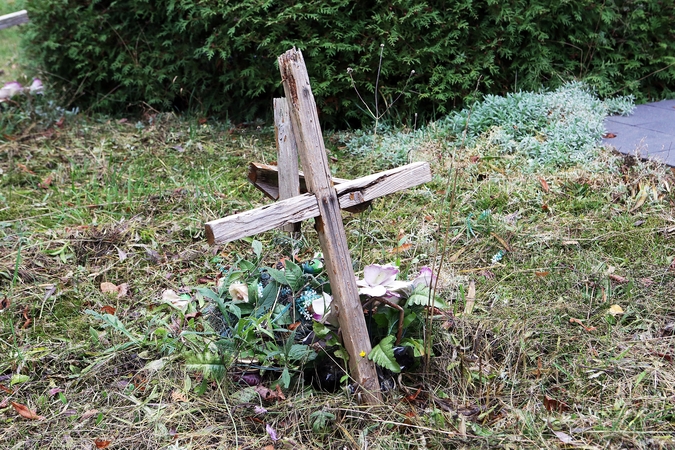 Nepamiršta: ir apleisti kapai po Vėlinių būna netrukus sutvarkomi.