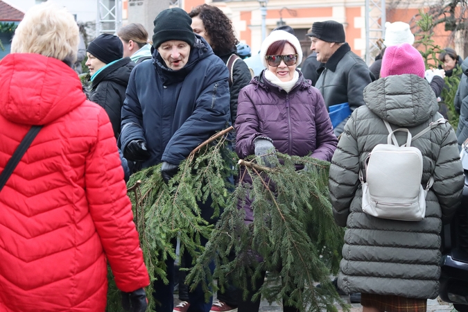 Norai: dalis žmonių pasiima ne po vieną, o po kelis eglišakius.