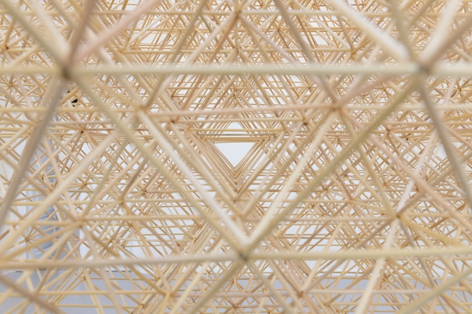 Vio­le­ta Dab­ri­lie­nė. So­das.