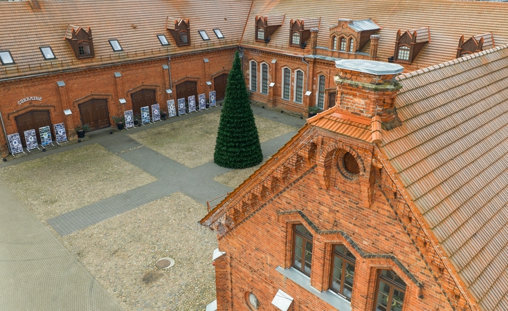 Pradžia: lapkričio 20 d. surinkta eglutė Raudondvaryje jau laukė puošmenų. 