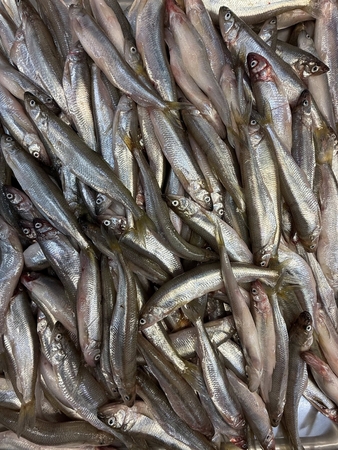 Kvapas: klaipėdiečiai, vos įėję į turgų, jau gali užuosti šviežiais agurkais kvepiančias stintas.