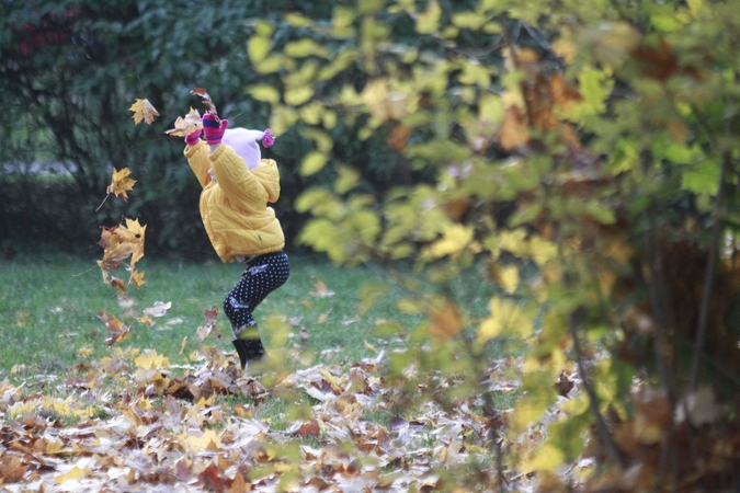 Prognozės: uostamiestyje artimiausiomis dienomis vyraus stiprūs vėjai, tačiau lietaus nenumatoma.