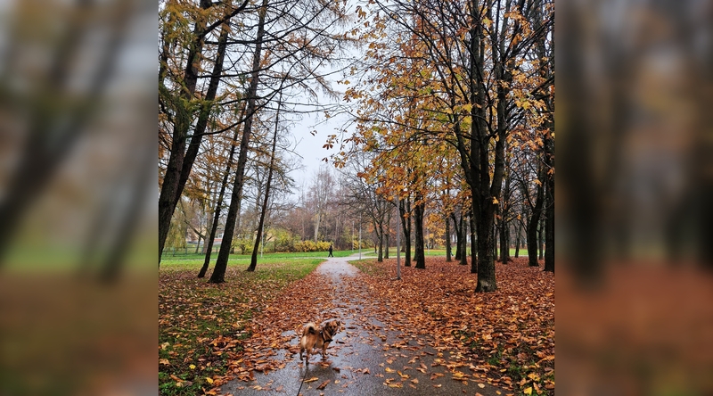 Prognozės: uostamiestyje vyraus įvairių krypčių vėjai, tačiau didelių kritulių nebus.