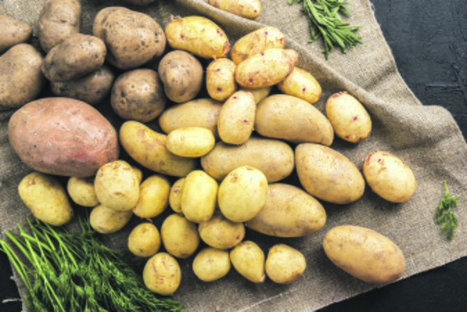 Karalienės: bulvės jau daug metų užima svarbiausią vietą lietuvių virtuvėje.