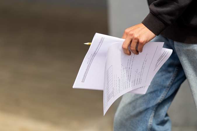 Žvirdauskas: mes pudruojame problemą