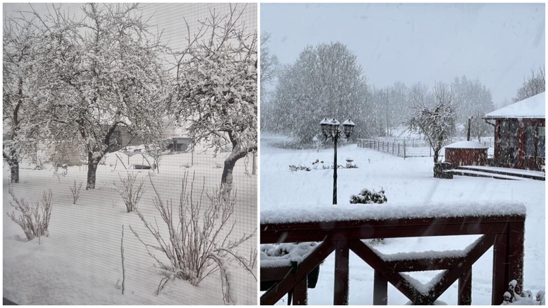 Dalijasi įspūdingais vaizdais: sniego – iškart už trejus metus 