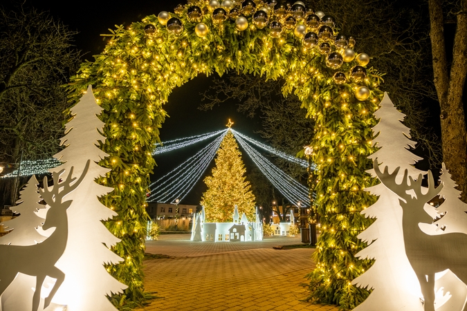 Sužibo Kretingos eglė