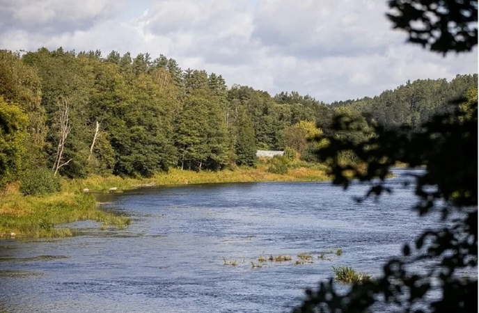 Vidaus vandens kelių direkcija nesutinka dėl tariamos padarytos žalos: skųs teismui