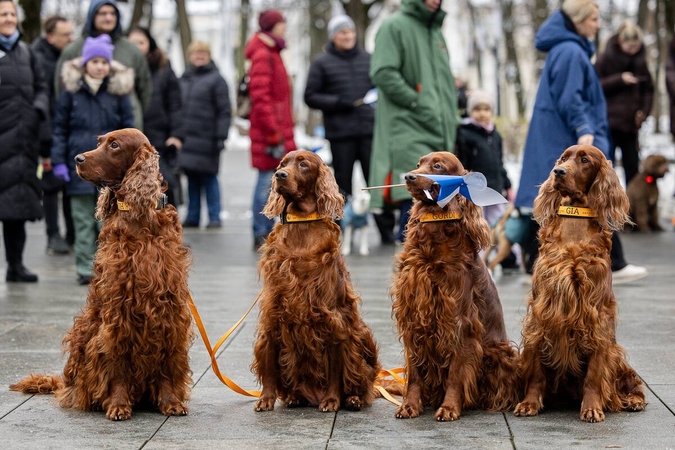 Draugai šventė Draugo dieną