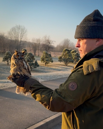 Patirtis: A. Katkus yra sužiedavęs beveik 20 tūkst. įvairių paukščių. Ant jo rankos – ką tik sužieduotas mažasis apuokas.