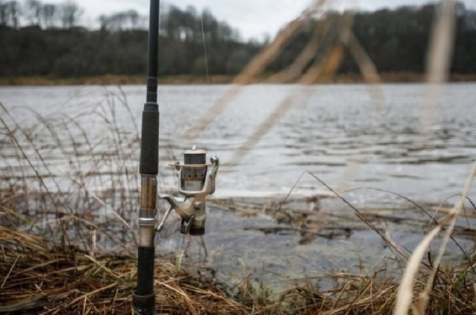 Įsigalioja draudimas gaudyti vėgėles