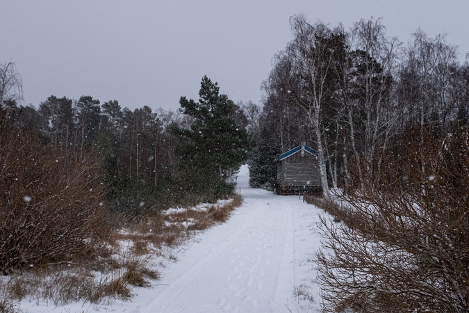 Nidą nuklojo sniegas