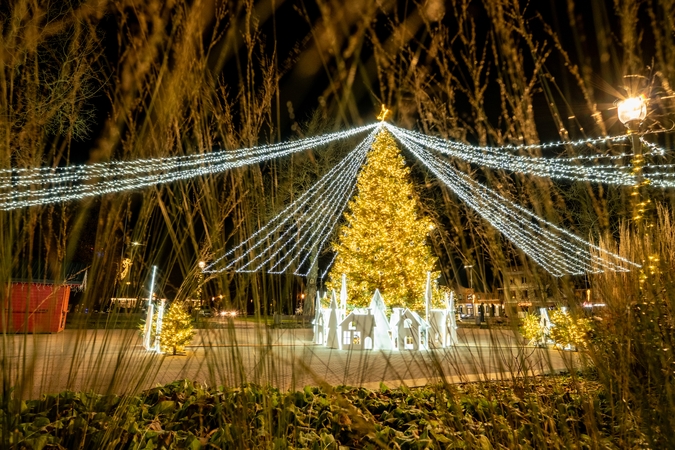 Kretingoje sutvisko užburianti žaliaskarė